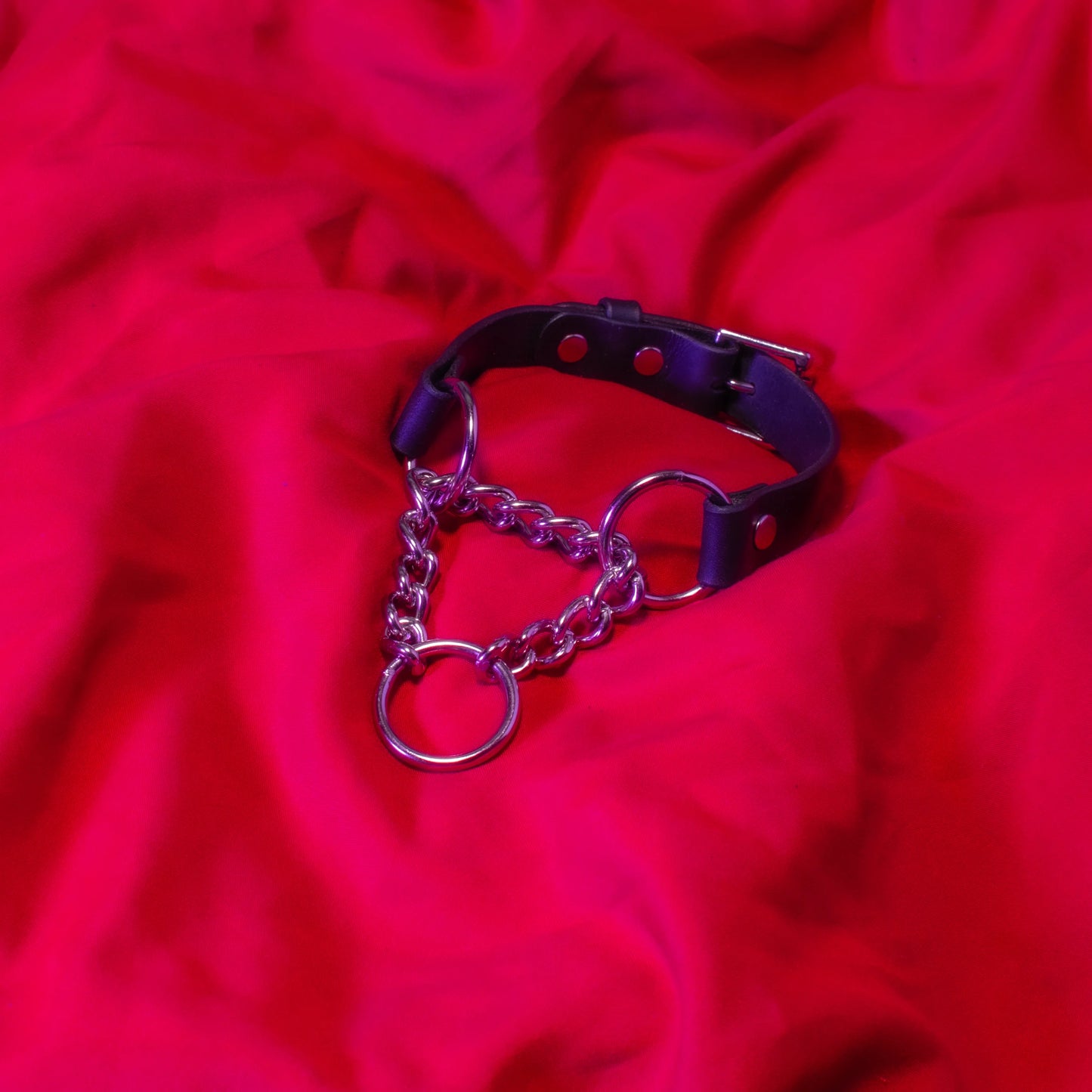 Martingale Leather Collar
