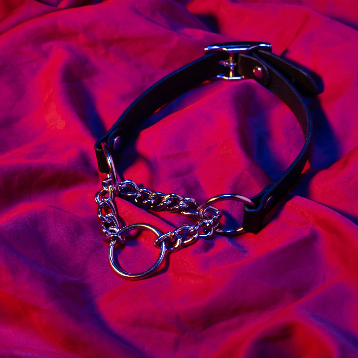 Martingale Leather Collar